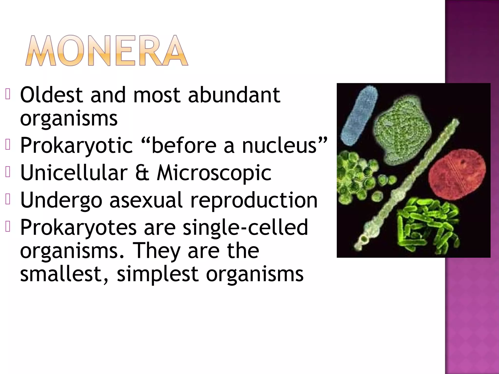 Module 2 kingdom monera | PPT