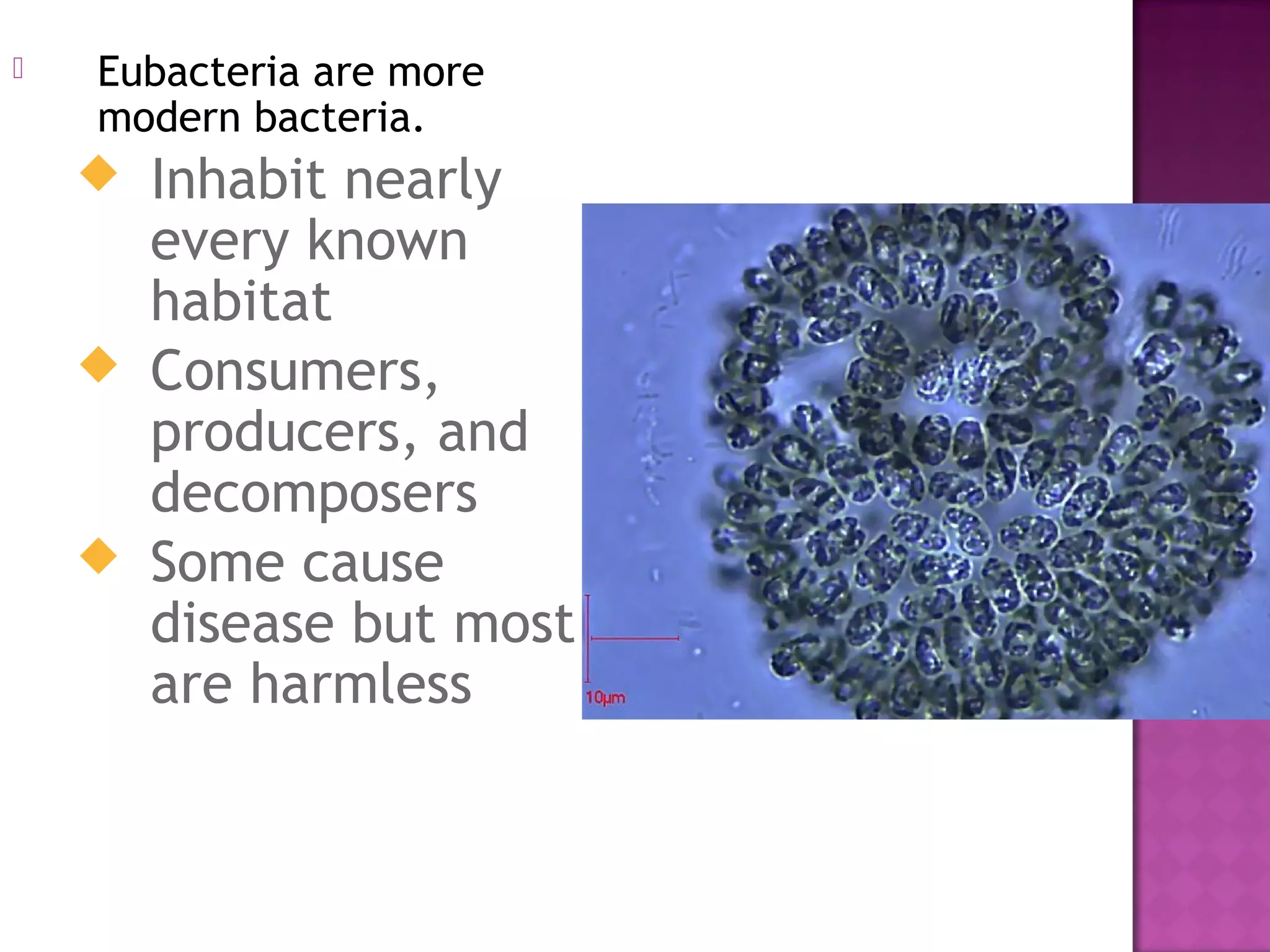 Module 2 kingdom monera | PPT