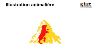 Illustration animalière
 