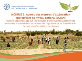 MODULE 2: Aperçu des mesures d’atténuation
appropriées au niveau national (MAAN)
Outil d’apprentissage sur les mesures d’atténuation appropriées
au niveau national dans le secteur de l’agriculture, la foresterie et
des autres affectations des terres
 