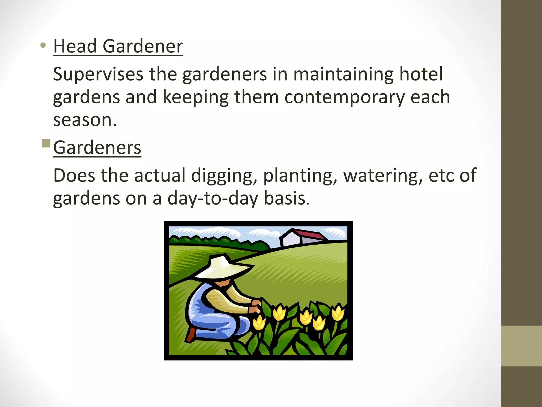 • Head Gardener
Supervises the gardeners in maintaining hotel
gardens and keeping them contemporary each
season.
Gardeners
Does the actual digging, planting, watering, etc of
gardens on a day-to-day basis.
 