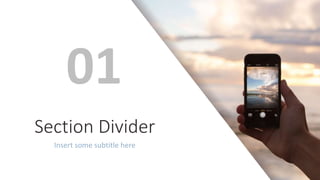 Section Divider
Insert some subtitle here
01
 