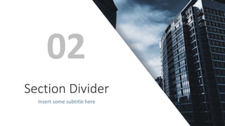Section Divider
Insert some subtitle here
02
 