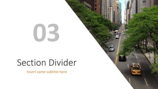 Section Divider
Insert some subtitle here
03
 