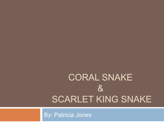 CORAL SNAKE
          &
  SCARLET KING SNAKE
By: Patricia Jones
 