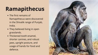 Module 2 Biology and Human Evolutionn pptn | PDF