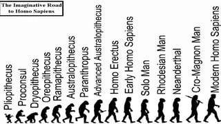 Pliopithecus Evolution Module 2 PPT Cultural and Biological Evolution | PDF