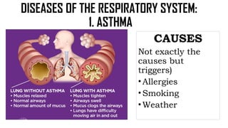 MODULE 2 Effects of Lifestyle in the Function of Respiratory and ...