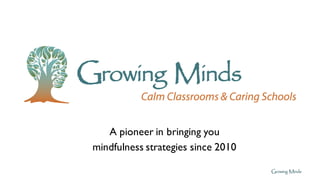 A pioneer in bringing you
mindfulness strategies since 2010
 