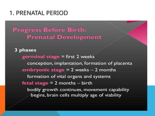 1. PRENATAL PERIOD
 