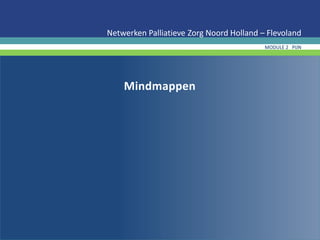 Mindmappen
Netwerken Palliatieve Zorg Noord Holland – Flevoland
MODULE 2 PIJN
 