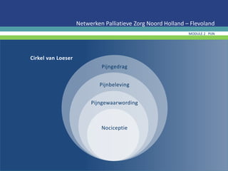 Cirkel van Loeser
Netwerken Palliatieve Zorg Noord Holland – Flevoland
MODULE 2 PIJN
Pijngedrag
Pijnbeleving
Pijngewaarwording
Nociceptie
 