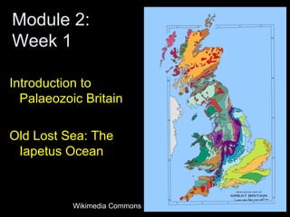 Module 2:
Week 1
Introduction to
Palaeozoic Britain
Old Lost Sea: The
Iapetus Ocean
Wikimedia Commons
 
