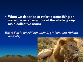When we describe or refer to something or someone as an example of the whole group (as a collective noun) Eg:  A  lion is an African animal. ( = lions are African animals)  