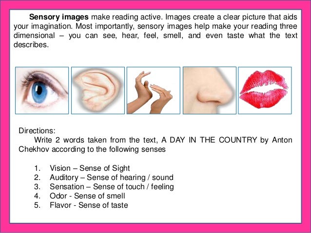 sensory details on sight sound smell taste touch sensory details on sight sound smell taste touch