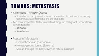TUMORS: METASTASIS
• Metastasis - Distant Spread
– Spread of tumor by invasion in such a way that discontinuous secondary
tumor masses are formed at the site and lodge
• Two most important factors used to distinguish malignant tumors from
benign tumors:
– Metastasis
– Invasiveness
• Routes of Metastasis
– Lymphatic Spread (Carcinoma)
– Hematogenous Spread (Sarcoma)
– Spread through the body cavity or natural passages
 