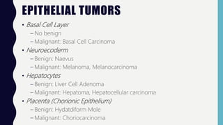 EPITHELIAL TUMORS
• Basal Cell Layer
– No benign
– Malignant: Basal Cell Carcinoma
• Neuroecoderm
– Benign: Naevus
– Malignant: Melanoma, Melanocarcinoma
• Hepatocytes
– Benign: Liver Cell Adenoma
– Malignant: Hepatoma, Hepatocellular carcinoma
• Placenta (Chorionic Epithelium)
– Benign: Hydatdiform Mole
– Malignant: Choriocarcinoma
 
