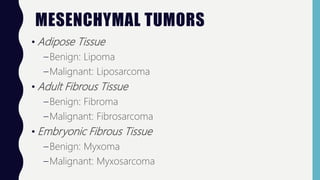 MESENCHYMAL TUMORS
• Adipose Tissue
–Benign: Lipoma
–Malignant: Liposarcoma
• Adult Fibrous Tissue
–Benign: Fibroma
–Malignant: Fibrosarcoma
• Embryonic Fibrous Tissue
–Benign: Myxoma
–Malignant: Myxosarcoma
 