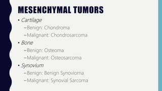 MESENCHYMAL TUMORS
• Cartilage
–Benign: Chondroma
–Malignant: Chondrosarcoma
• Bone
–Benign: Osteoma
–Malignant: Osteosarcoma
• Synovium
–Benign: Benign Synovioma
–Malignant: Synovial Sarcoma
 
