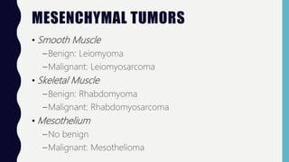 MESENCHYMAL TUMORS
• Smooth Muscle
–Benign: Leiomyoma
–Malignant: Leiomyosarcoma
• Skeletal Muscle
–Benign: Rhabdomyoma
–Malignant: Rhabdomyosarcoma
• Mesothelium
–No benign
–Malignant: Mesothelioma
 