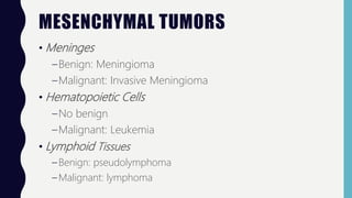 MESENCHYMAL TUMORS
• Meninges
–Benign: Meningioma
–Malignant: Invasive Meningioma
• Hematopoietic Cells
–No benign
–Malignant: Leukemia
• Lymphoid Tissues
– Benign: pseudolymphoma
– Malignant: lymphoma
 