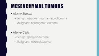 MESENCHYMAL TUMORS
• Nerve Sheath
–Benign: neurolemmoma, neurofibroma
–Malignant: neurogenic sarcoma
• Nerve Cells
–Benign: ganglioneuroma
–Malignant: neuroblastoma
 