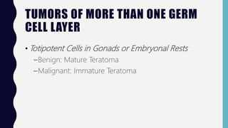 TUMORS OF MORE THAN ONE GERM
CELL LAYER
• Totipotent Cells in Gonads or Embryonal Rests
–Benign: Mature Teratoma
–Malignant: Immature Teratoma
 