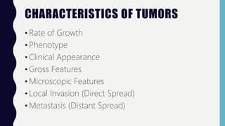 CHARACTERISTICS OF TUMORS
• Rate of Growth
• Phenotype
• Clinical Appearance
• Gross Features
• Microscopic Features
• Local Invasion (Direct Spread)
• Metastasis (Distant Spread)
 