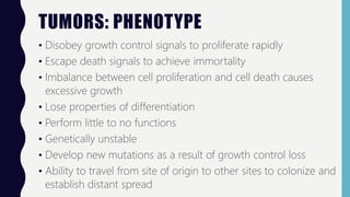 TUMORS: PHENOTYPE
• Disobey growth control signals to proliferate rapidly
• Escape death signals to achieve immortality
• Imbalance between cell proliferation and cell death causes
excessive growth
• Lose properties of differentiation
• Perform little to no functions
• Genetically unstable
• Develop new mutations as a result of growth control loss
• Ability to travel from site of origin to other sites to colonize and
establish distant spread
 