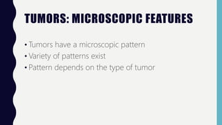 TUMORS: MICROSCOPIC FEATURES
• Tumors have a microscopic pattern
• Variety of patterns exist
• Pattern depends on the type of tumor
 