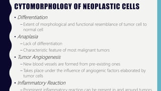 CYTOMORPHOLOGY OF NEOPLASTIC CELLS
• Differentiation
– Extent of morphological and functional resemblance of tumor cell to
normal cell
• Anaplasia
– Lack of differentiation
– Characteristic feature of most malignant tumors
• Tumor Angiogenesis
– New blood vessels are formed from pre-existing ones
– Takes place under the influence of angiogenic factors elaborated by
tumor cells
• Inflammatory Reaction
 