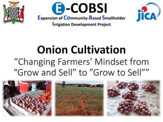 Onion Cultivation
“Changing Farmers’ Mindset from
“Grow and Sell” to ”Grow to Sell””
E -COBSI
Expansion of Community-Based Smallholder
Irrigation Development Project
1
 