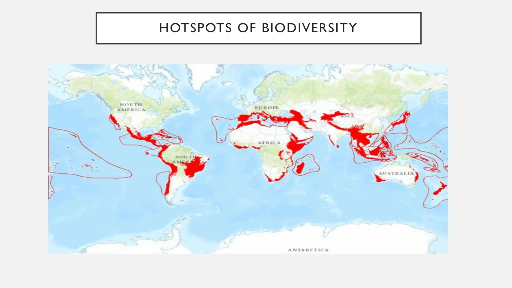 HOTSPOTS OF BIODIVERSITY
 