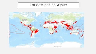 HOTSPOTS OF BIODIVERSITY
 