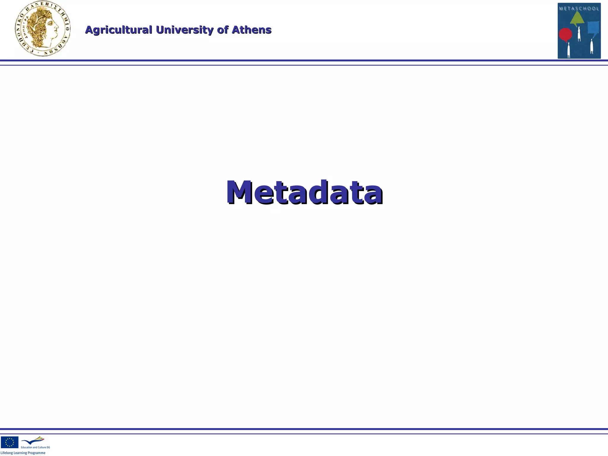 Metadata 