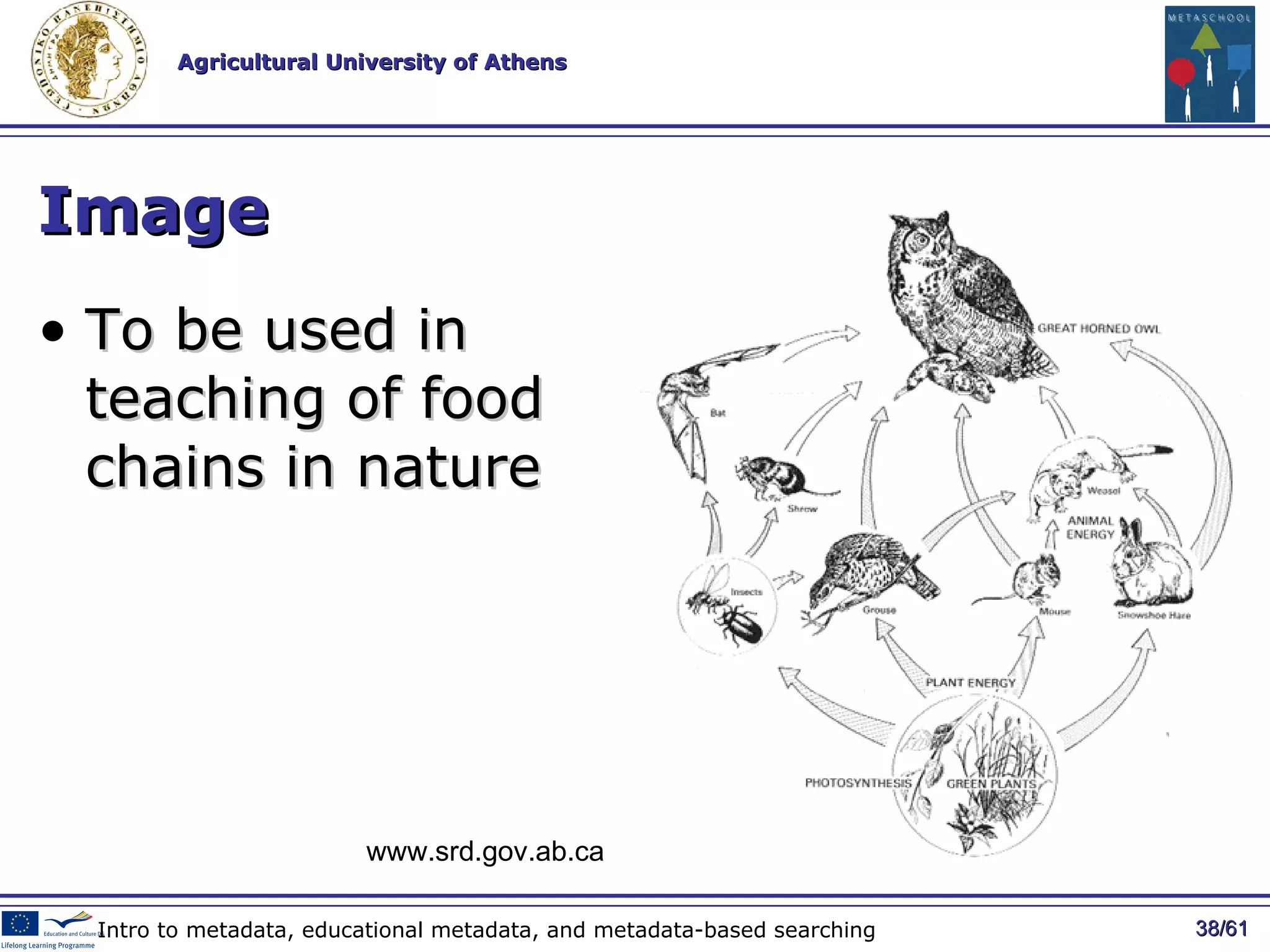 Image To be used in  teaching of food chains in nature / 61 Intro to metadata, educational metadata, and metadata-based searching   www.srd.gov.ab.ca  