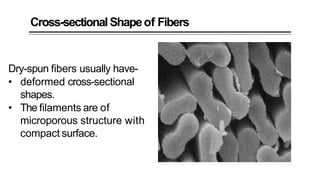 Cross-sectionalShapeof Fibers
Dry-spun fibers usually have-
• deformed cross-sectional
shapes.
• The filaments are of
microporous structure with
compact surface.
 