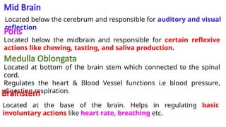 Human Organ Systems and Bio Designs: Brain, Eye, Heart, Lungs, and ...