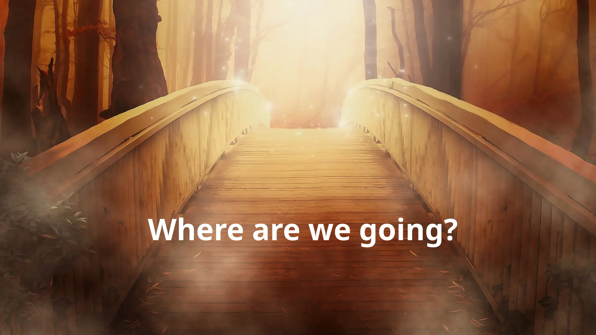 Where are we going?
 