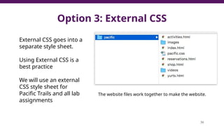 Option 3: External CSS
30
External CSS goes into a
separate style sheet.
Using External CSS is a
best practice
We will use an external
CSS style sheet for
Pacific Trails and all lab
assignments
The website files work together to make the website.
 