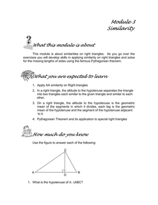 Module 3 similarity | PDF