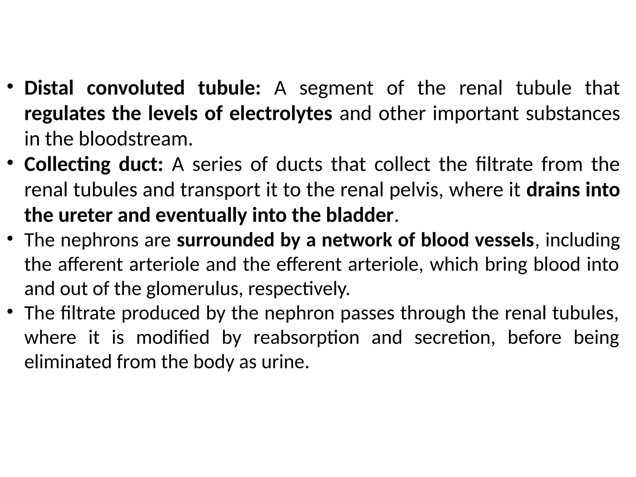 • Distal convoluted tubule: A segment of the renal tubule that
regulates the levels of electrolytes and other important substances
in the bloodstream.
• Collecting duct: A series of ducts that collect the filtrate from the
renal tubules and transport it to the renal pelvis, where it drains into
the ureter and eventually into the bladder.
• The nephrons are surrounded by a network of blood vessels, including
the afferent arteriole and the efferent arteriole, which bring blood into
and out of the glomerulus, respectively.
• The filtrate produced by the nephron passes through the renal tubules,
where it is modified by reabsorption and secretion, before being
eliminated from the body as urine.
 