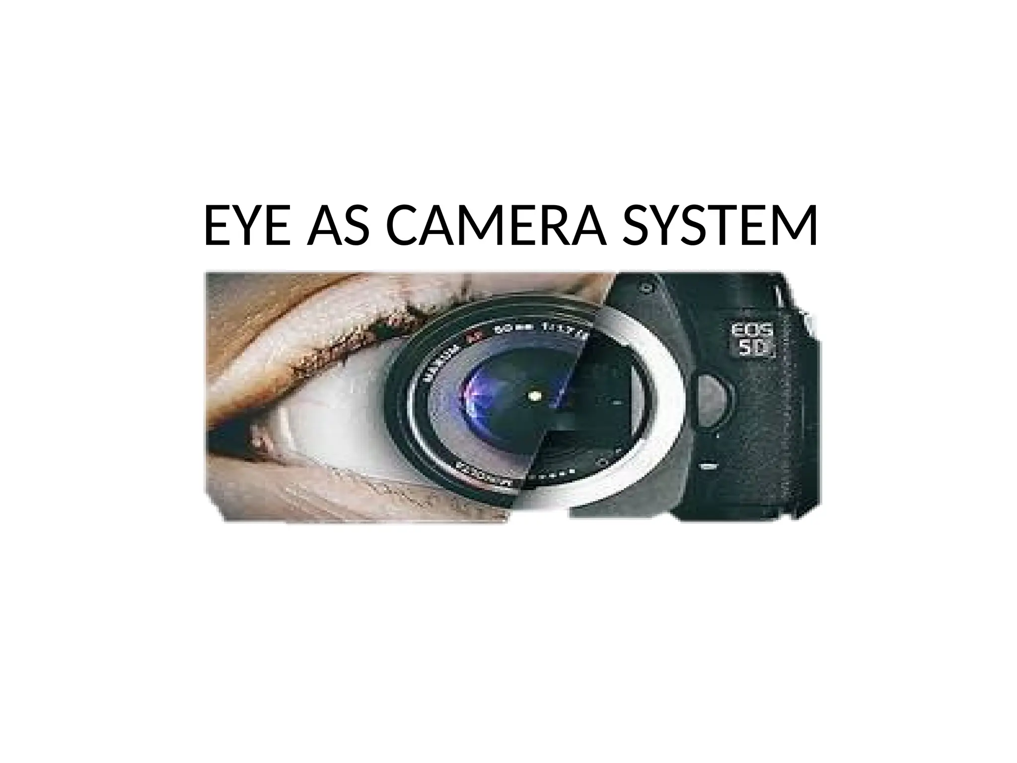 EYE AS CAMERA SYSTEM
 