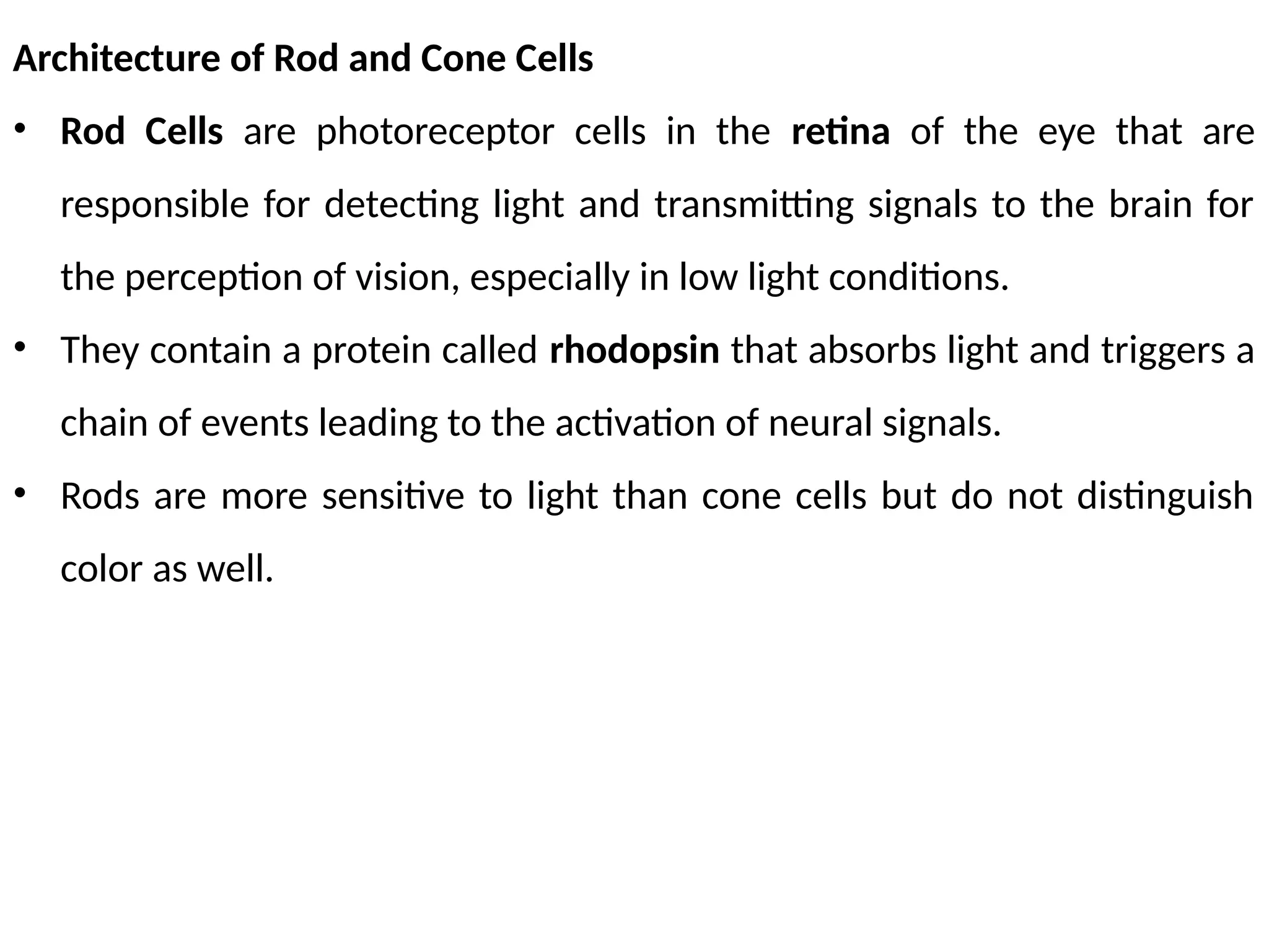 Architecture of Rod and Cone Cells
• Rod Cells are photoreceptor cells in the retina of the eye that are
responsible for detecting light and transmitting signals to the brain for
the perception of vision, especially in low light conditions.
• They contain a protein called rhodopsin that absorbs light and triggers a
chain of events leading to the activation of neural signals.
• Rods are more sensitive to light than cone cells but do not distinguish
color as well.
 