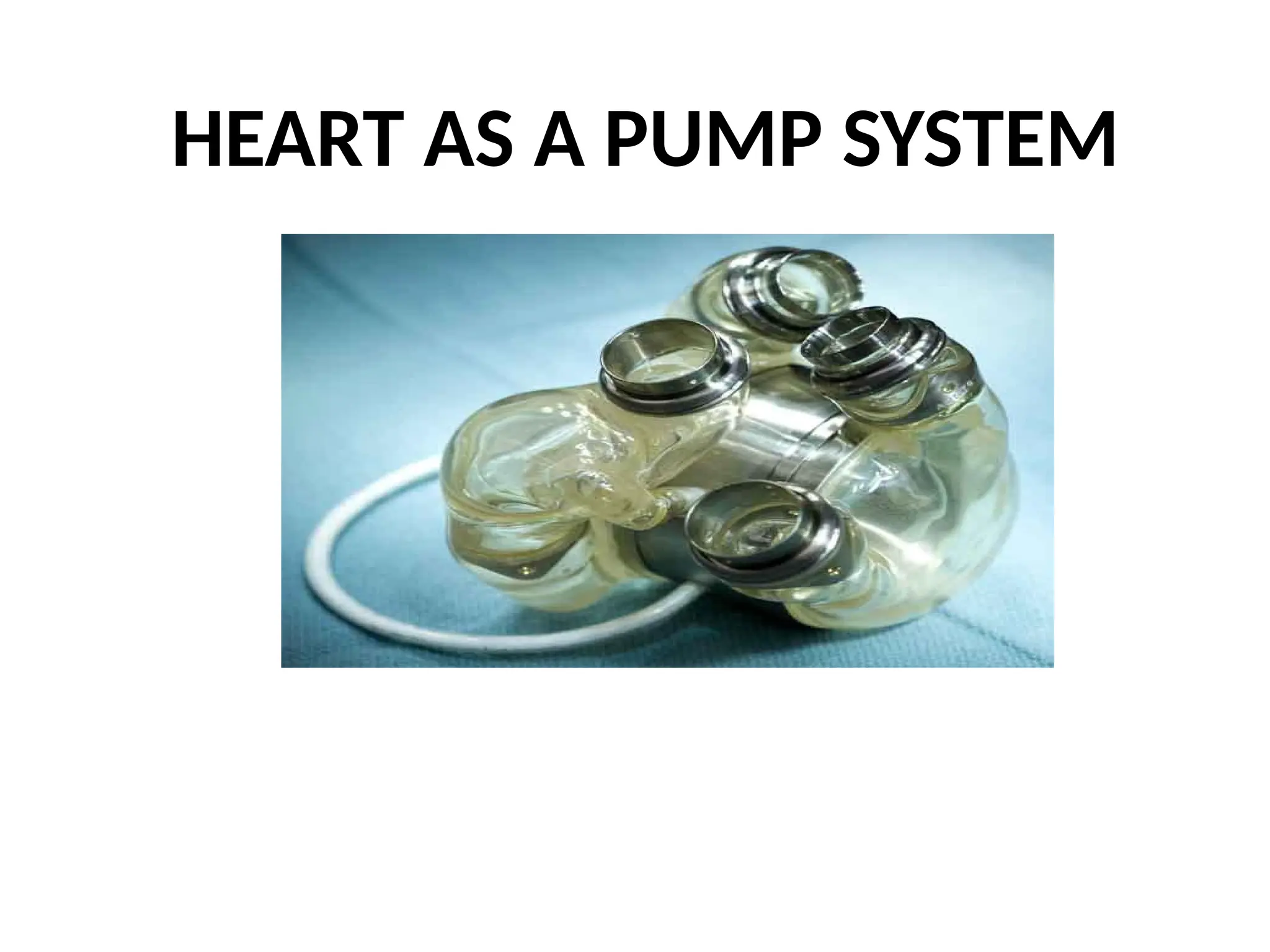 HEART AS A PUMP SYSTEM
 