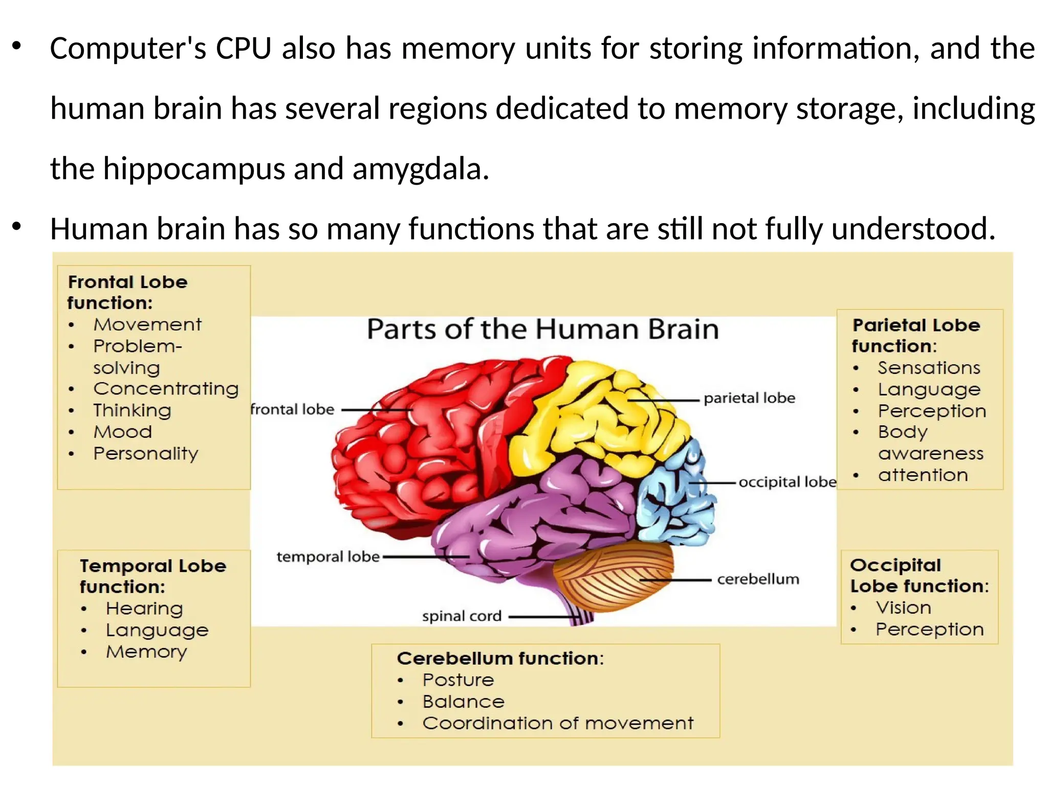 • Computer's CPU also has memory units for storing information, and the
human brain has several regions dedicated to memory storage, including
the hippocampus and amygdala.
• Human brain has so many functions that are still not fully understood.
 