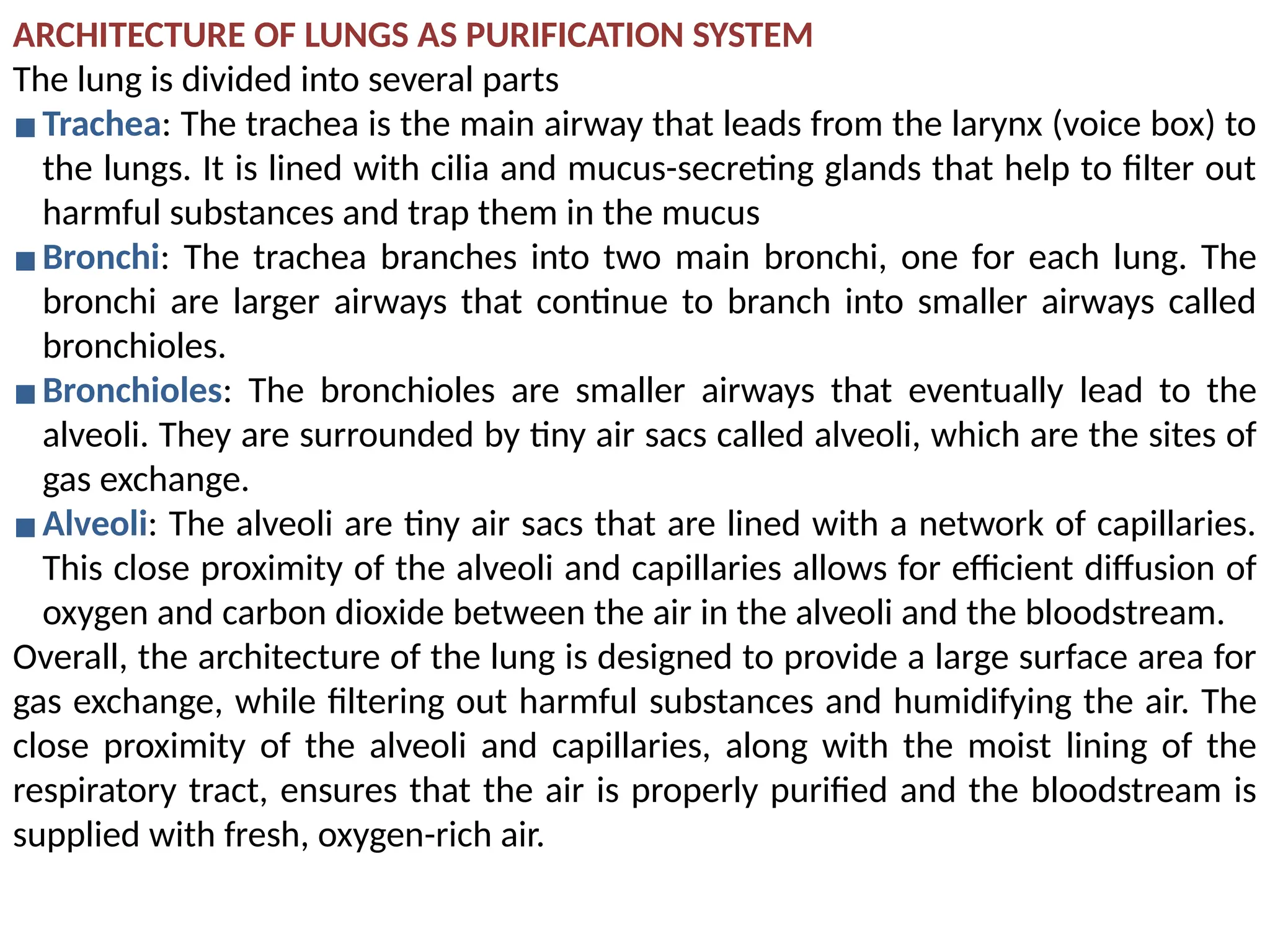 ARCHITECTURE OF LUNGS AS PURIFICATION SYSTEM
The lung is divided into several parts
▪Trachea: The trachea is the main airway that leads from the larynx (voice box) to
the lungs. It is lined with cilia and mucus-secreting glands that help to filter out
harmful substances and trap them in the mucus
▪Bronchi: The trachea branches into two main bronchi, one for each lung. The
bronchi are larger airways that continue to branch into smaller airways called
bronchioles.
▪Bronchioles: The bronchioles are smaller airways that eventually lead to the
alveoli. They are surrounded by tiny air sacs called alveoli, which are the sites of
gas exchange.
▪Alveoli: The alveoli are tiny air sacs that are lined with a network of capillaries.
This close proximity of the alveoli and capillaries allows for efficient diffusion of
oxygen and carbon dioxide between the air in the alveoli and the bloodstream.
Overall, the architecture of the lung is designed to provide a large surface area for
gas exchange, while filtering out harmful substances and humidifying the air. The
close proximity of the alveoli and capillaries, along with the moist lining of the
respiratory tract, ensures that the air is properly purified and the bloodstream is
supplied with fresh, oxygen-rich air.
 