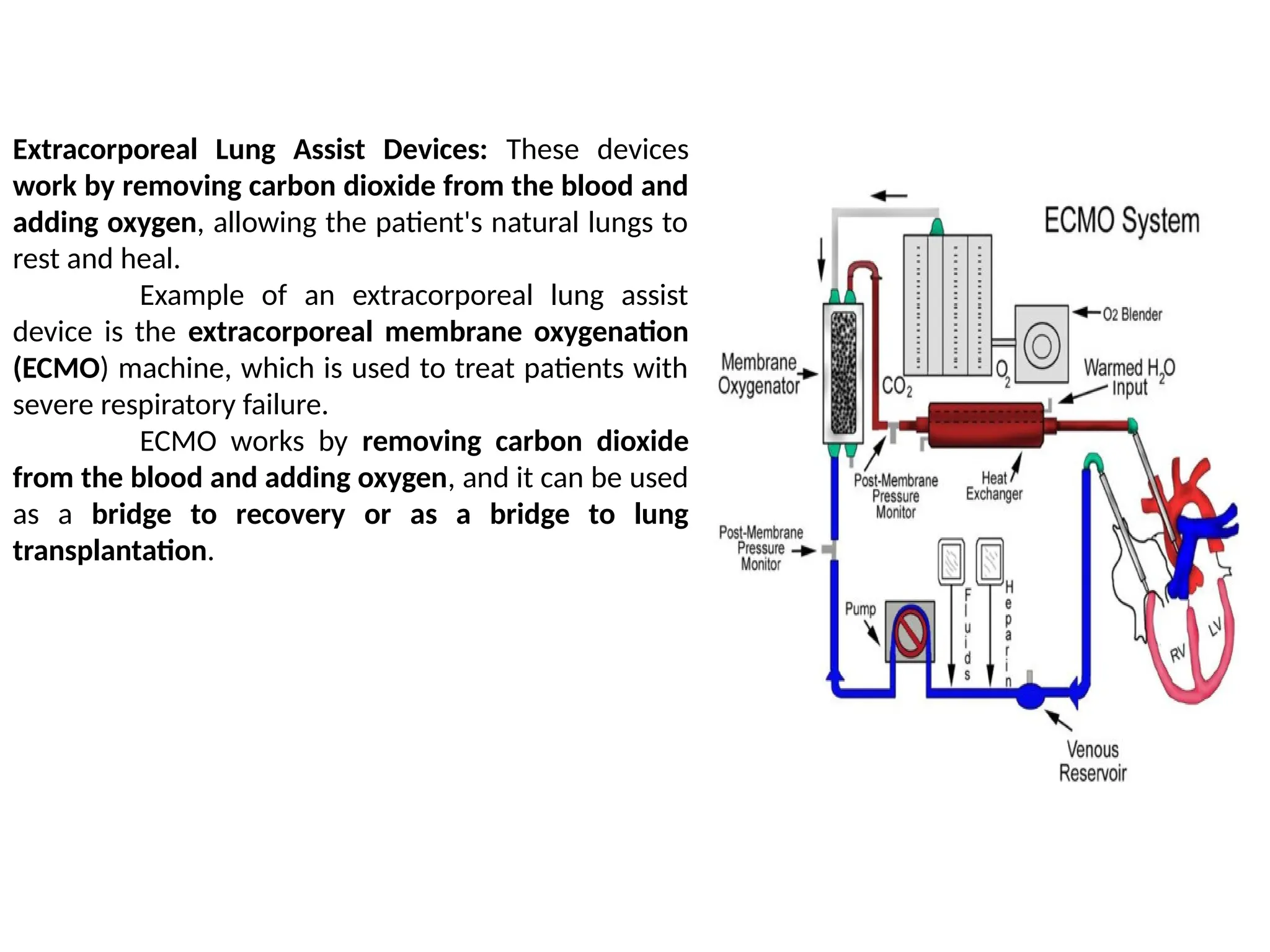 Extracorporeal Lung Assist Devices: These devices
work by removing carbon dioxide from the blood and
adding oxygen, allowing the patient's natural lungs to
rest and heal.
Example of an extracorporeal lung assist
device is the extracorporeal membrane oxygenation
(ECMO) machine, which is used to treat patients with
severe respiratory failure.
ECMO works by removing carbon dioxide
from the blood and adding oxygen, and it can be used
as a bridge to recovery or as a bridge to lung
transplantation.
 