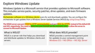 Comprehensive Guide to Windows Server Update and DNS Security ...