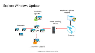 Comprehensive Guide to Windows Server Update and DNS Security ...